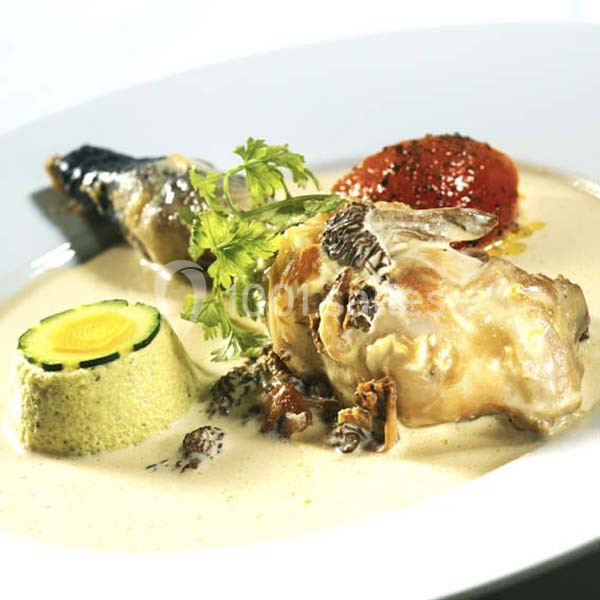 Gastro Dom - galerie - photo 12