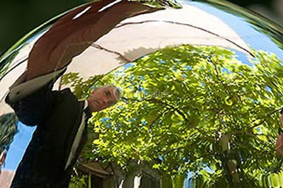 Miniature Traiteur Cloyes-les-Trois-Rivières (Eure-et-Loir) - Le Saint Jacques #2 Assiette gastronomique avec trois noix de Saint-Jacques sur des légumes colorés, décorée de fines tranches et d'herbes.