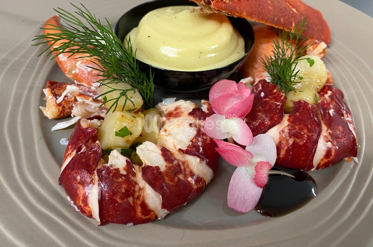 Assiette de homard décortiqué avec sauce, décorée de fleurs comestibles, aneth et purée en arrière-plan.
