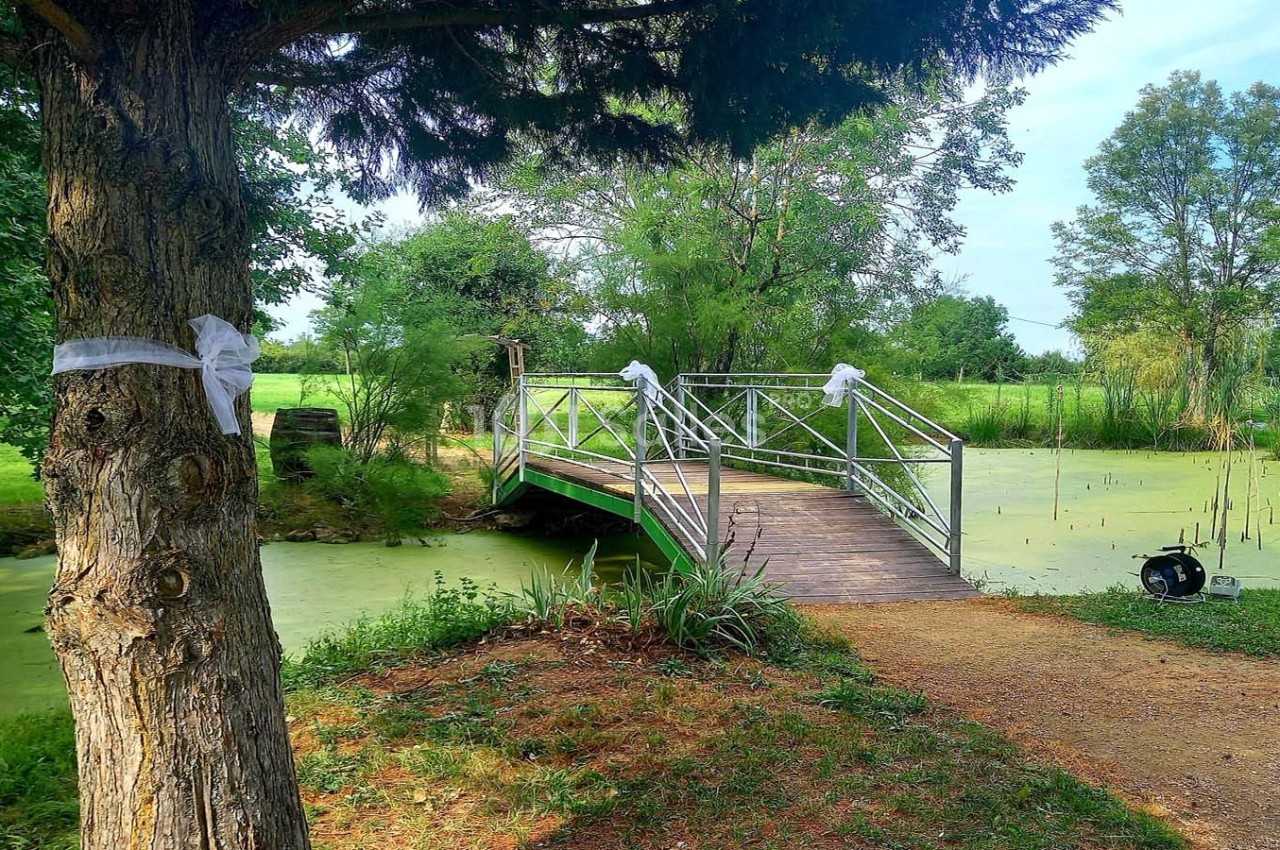Domaine Saint Julien - galerie - photo 13
