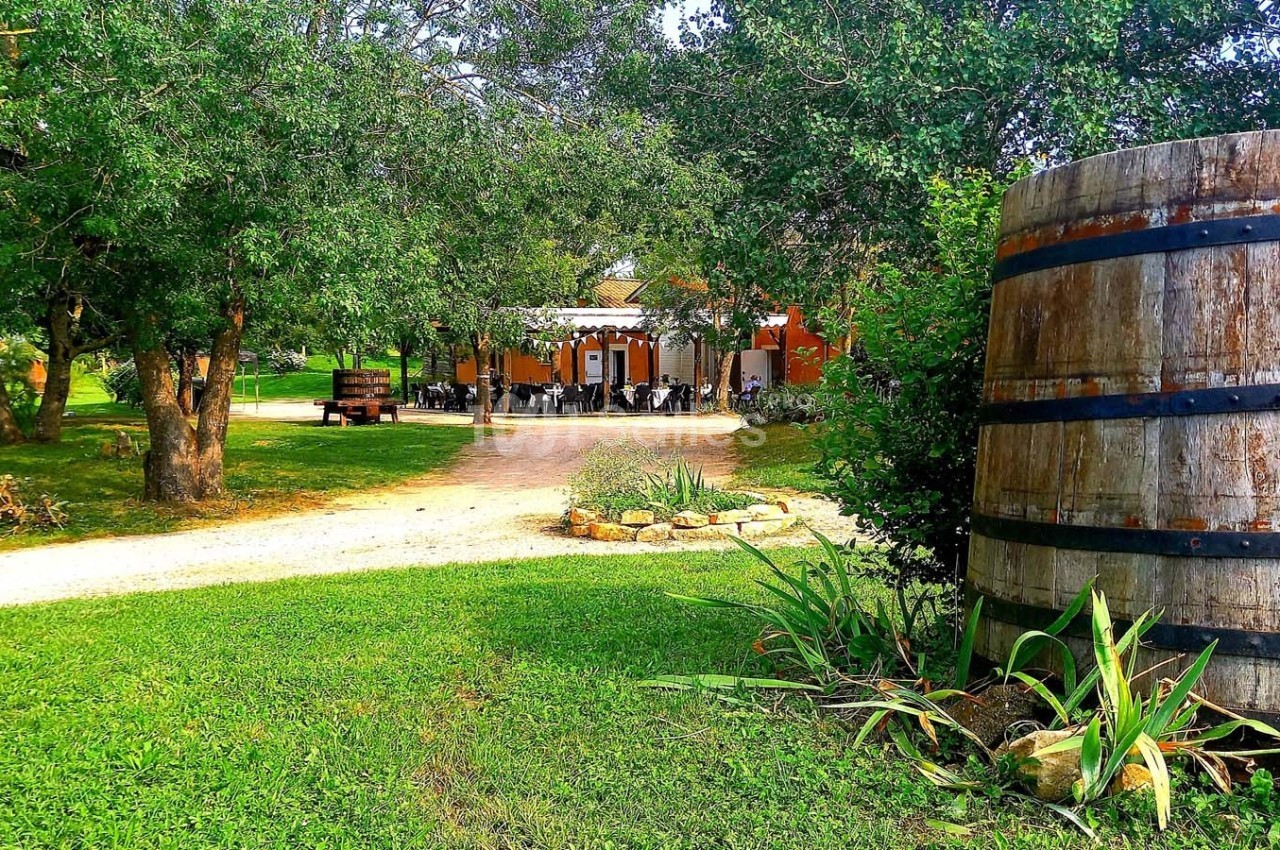 Domaine Saint Julien - galerie - photo 18