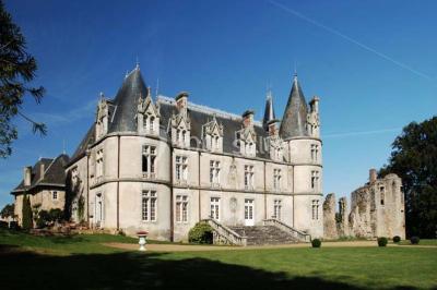 Château De La Flocellière - photo 1