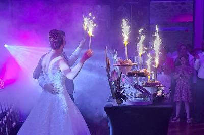Plateau de canapés variés comprenant des bouchées salées et sucrées, disposées sur une table en inox.