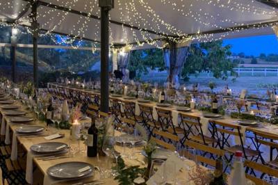 Plateau de mini-burgers colorés et assortiments de canapés sur une table dressée pour un buffet.