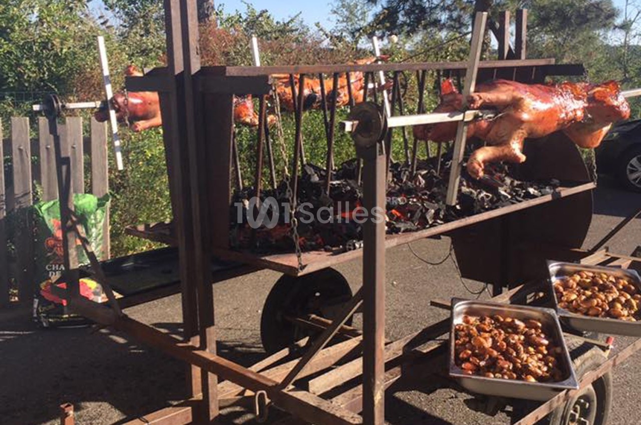 Cochons de lait rôtis à la broche sur un barbecue en plein air, avec des plats de garnitures à proximité.