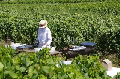 Traiteur Vrigny (Loiret) - Les Délices d'André #24