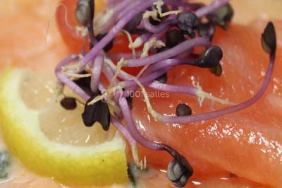 Le Concurrent Gourmand - photo 4