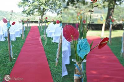 Location salle Vignieu (Isère) - Château de Chapeau Cornu #17