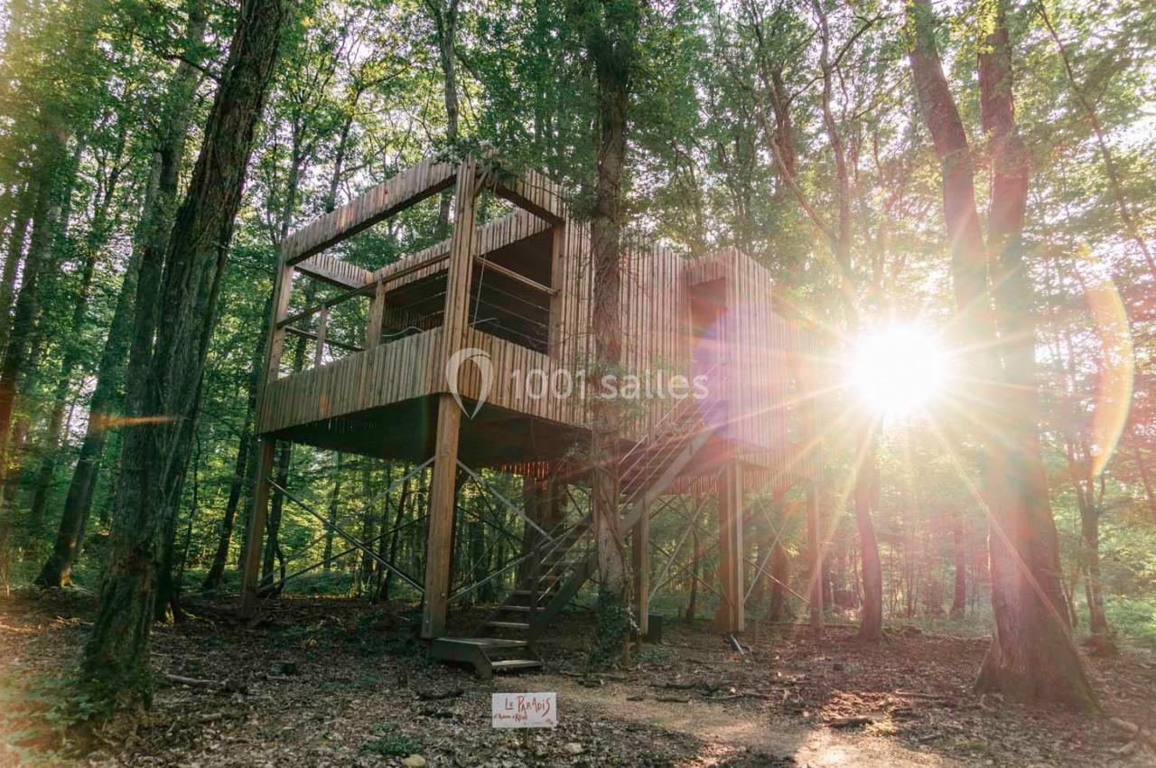 Cabane en bois sur pilotis au milieu d'une forêt, éclairée par la lumière du soleil traversant les arbres.