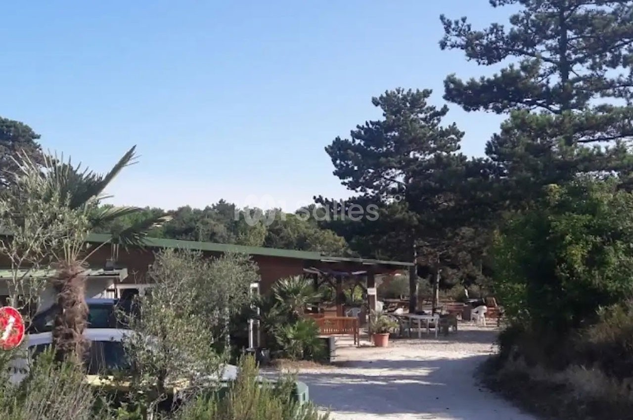Chemin sablonneux bordé de végétation menant à une terrasse en plein air entourée d'arbres et de plantes.