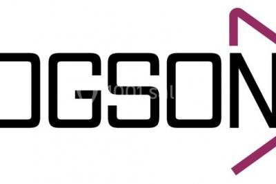 Miniature DJ Champs-sur-Marne (Seine-et-Marne) - LDGSON #12 Logo avec le texte ’LDGSON’ en noir, accompagné d'une flèche violette orientée vers la droite.