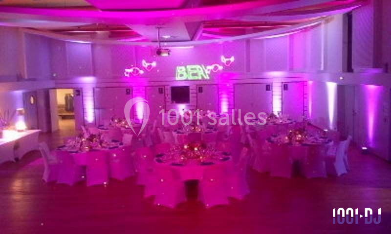 DJ Obernai (Bas-Rhin) - Vega Animation #3