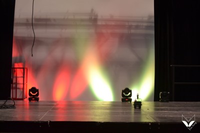 Fox Song - photo 2