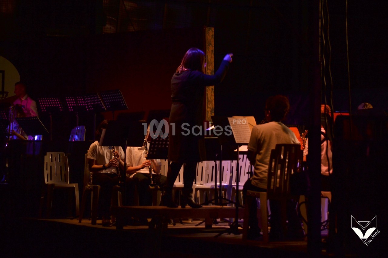 Une cheffe d'orchestre dirige un groupe de musiciens assis sur scène dans une ambiance sombre et éclairée.