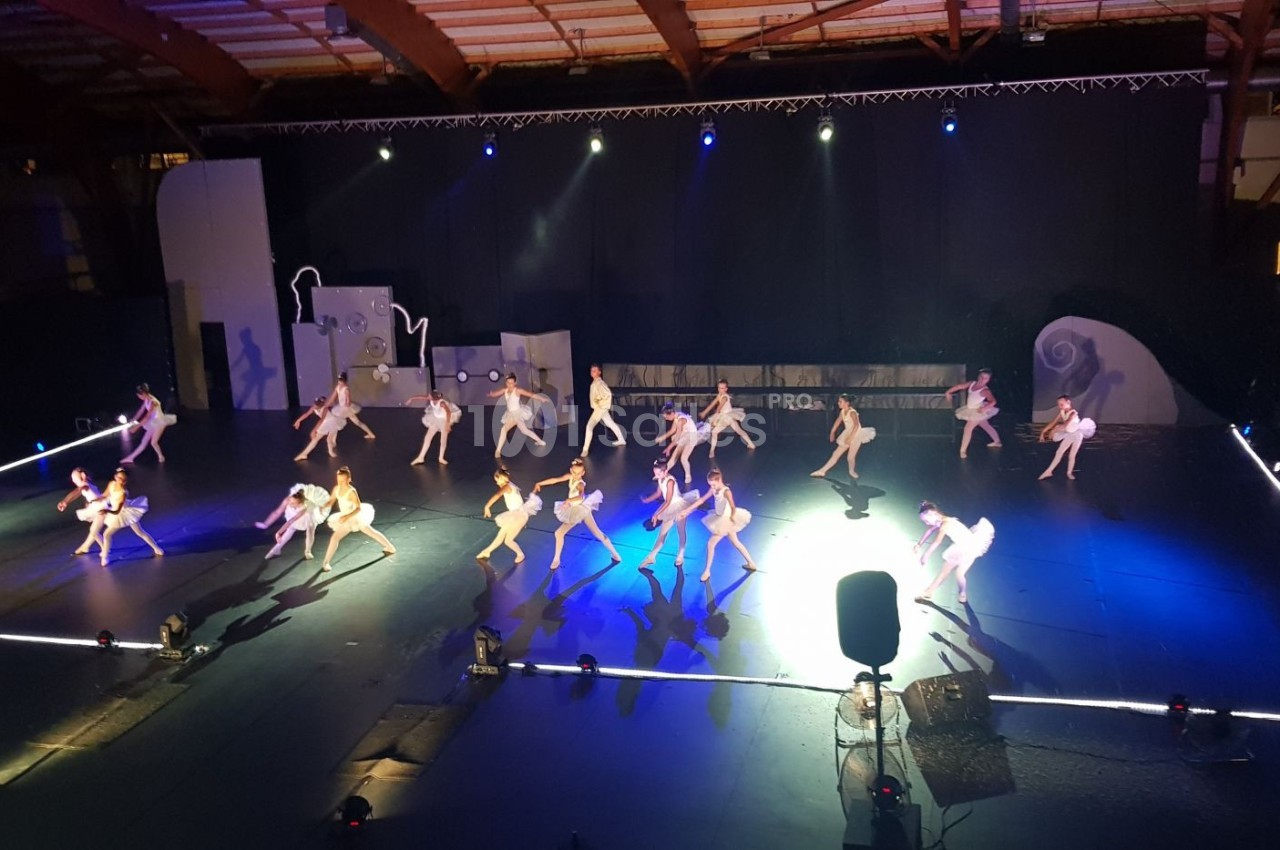 Des danseurs exécutent une chorégraphie synchronisée sur une scène éclairée dans une grande salle sombre.