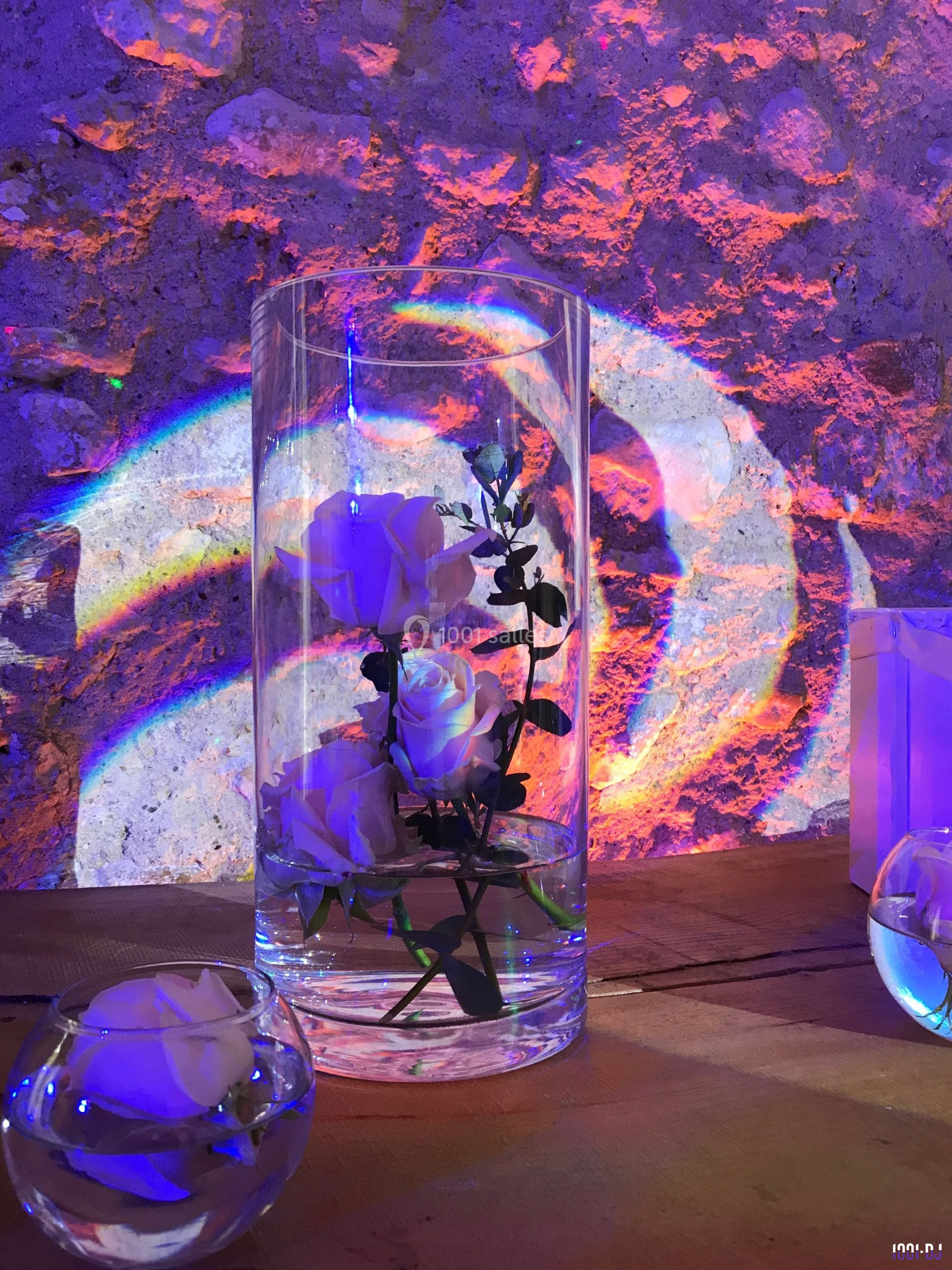 Roses blanches immergées dans un vase cylindrique en verre, éclairées par des lumières colorées sur un fond texturé.