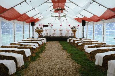 Miniature DJ Gagny (Seine-Saint-Denis) - Jour Précieux #20 Une femme en robe blanche joue de la harpe dans une salle décorée avec des plantes et des lumières.