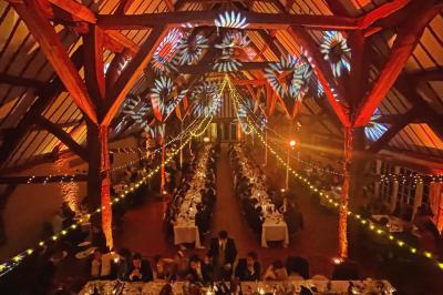 Miniature DJ Gagny (Seine-Saint-Denis) - Jour Précieux #28 Une femme en robe blanche joue de la harpe dans une salle décorée avec des plantes et des lumières.