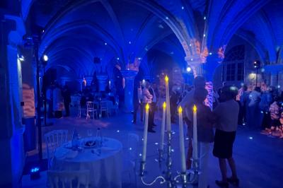 Miniature DJ Gagny (Seine-Saint-Denis) - Jour Précieux #29 Une femme en robe blanche joue de la harpe dans une salle décorée avec des plantes et des lumières.