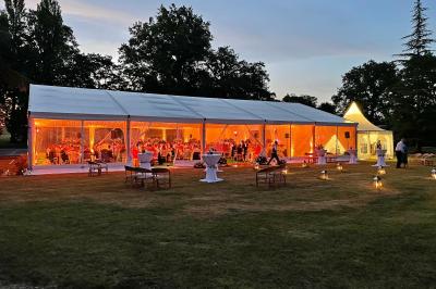 Miniature DJ Gagny (Seine-Saint-Denis) - Jour Précieux #30 Une femme en robe blanche joue de la harpe dans une salle décorée avec des plantes et des lumières.