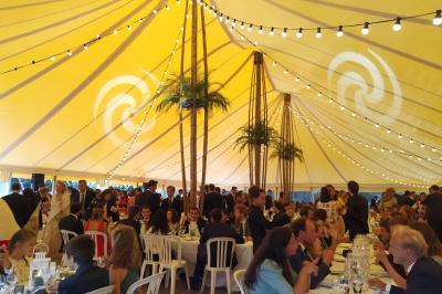 Miniature DJ Gagny (Seine-Saint-Denis) - Jour Précieux #39 Une femme en robe blanche joue de la harpe dans une salle décorée avec des plantes et des lumières.