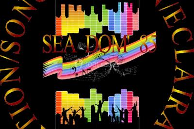 SEADom'85 - Sonorisation Eclairage et Animation SEADom'85 - Sonorisation Eclairage et Animation