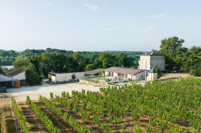 Château Lartigue Cèdres - photo 2