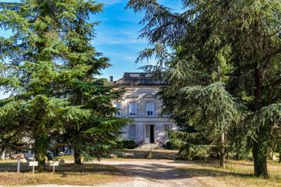 Château Lartigue Cèdres - photo 3