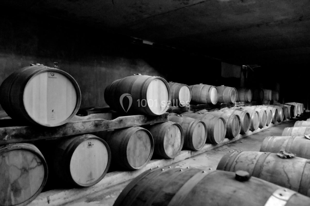 Rangées de tonneaux en bois alignés dans une cave sombre.