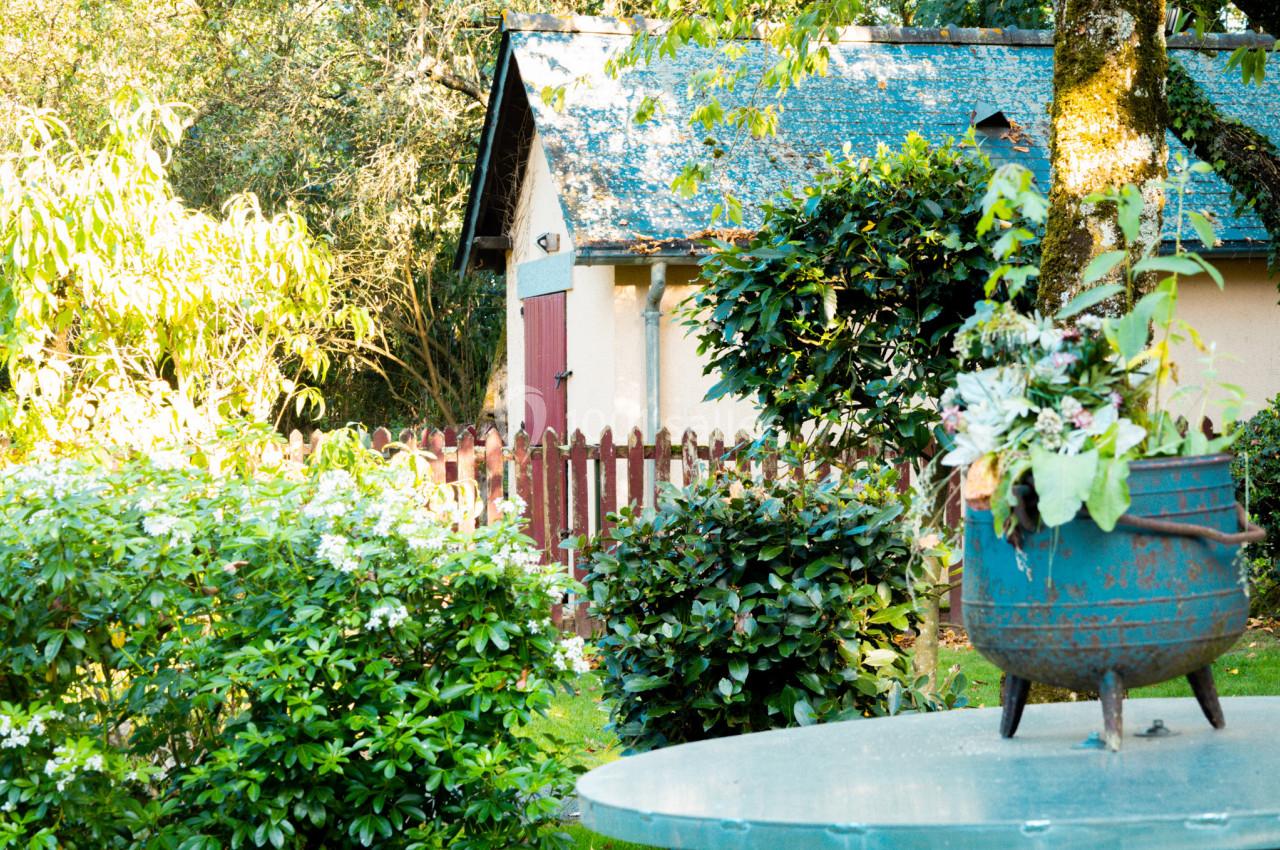 Jardin verdoyant avec une cabane en arrière-plan, un pot de fleurs sur une table et une clôture en bois.