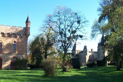 Château De Caumont - photo 3