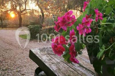 Texte ’Bienvenue à notre mariage’ écrit sur un miroir décoré de fleurs, reflétant un jardin verdoyant.