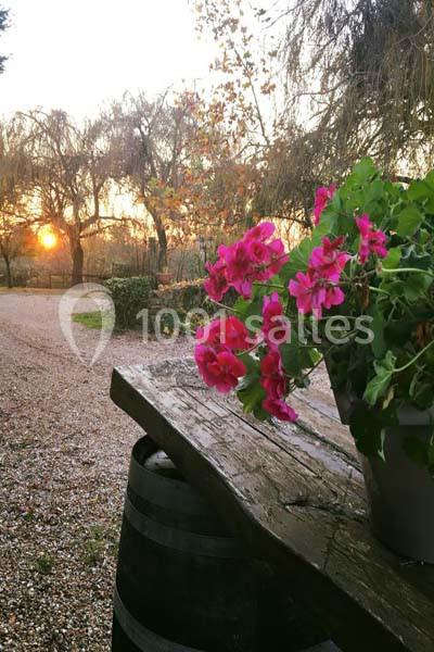 Pot de géraniums roses posé sur une table en bois, avec un chemin gravillonné et un coucher de soleil en arrière-plan.
