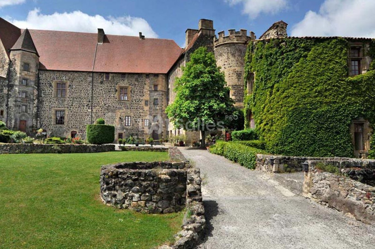 Château en pierre entouré de verdure, avec une tour, des murs recouverts de lierre et une cour aménagée.