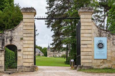 Château de la Bourdaisiere - photo 2