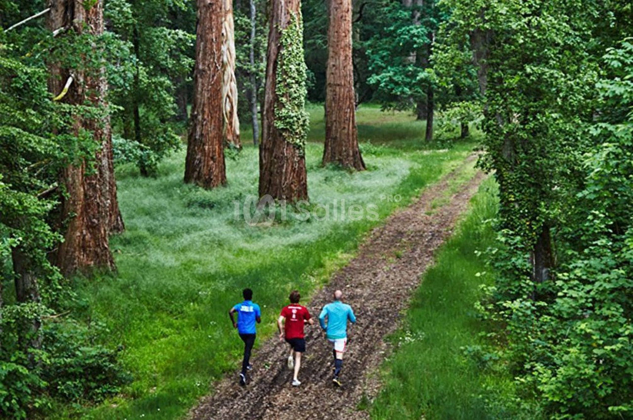 Trois personnes courent sur un chemin forestier entouré de grands arbres et de verdure dense.