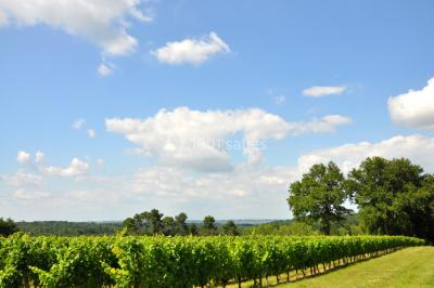 Location salle Mazères (Gironde) - Chateau Caillivet #17