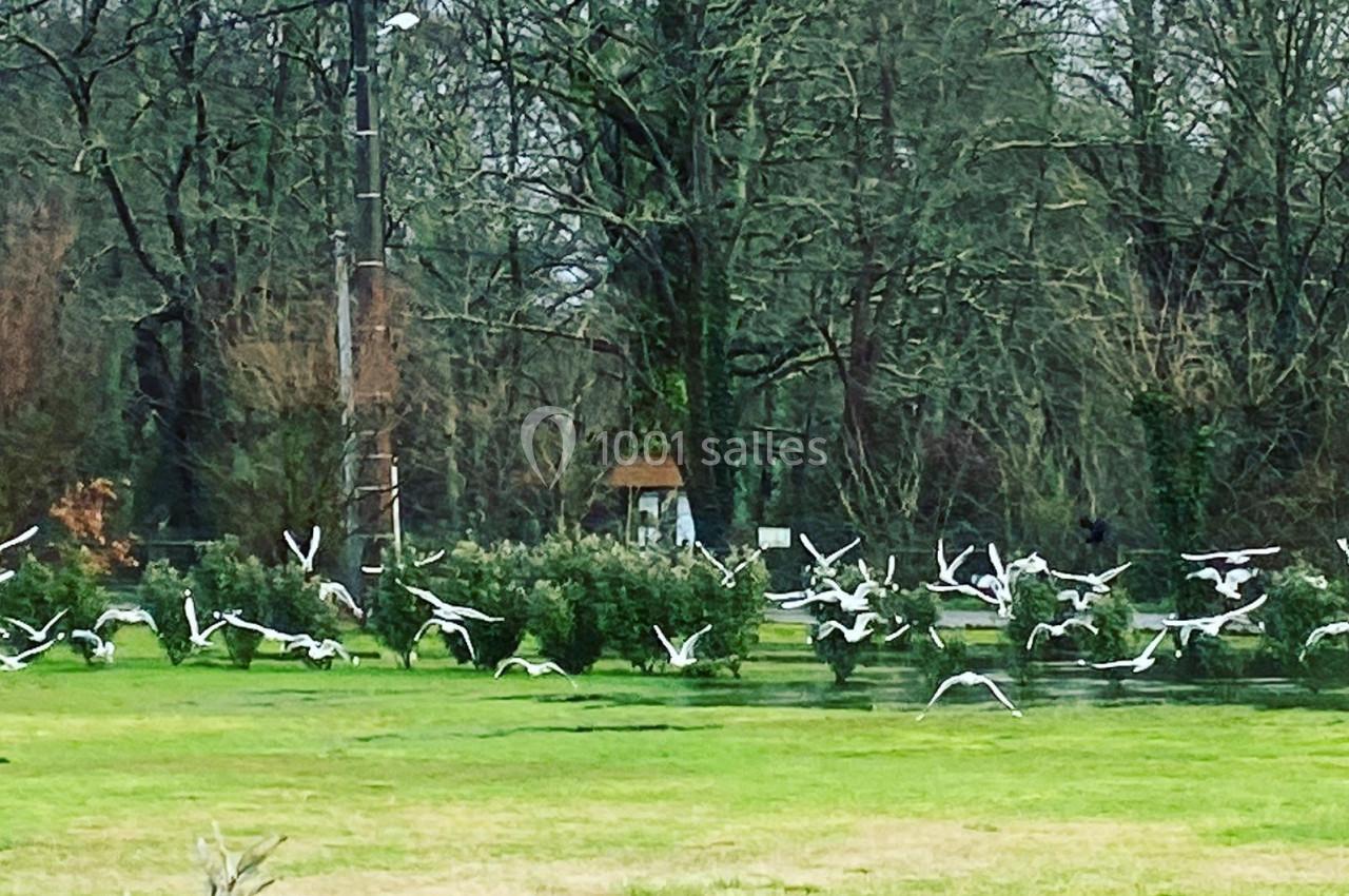 Location salle Arès (Gironde) - Domaine d'Arès #7