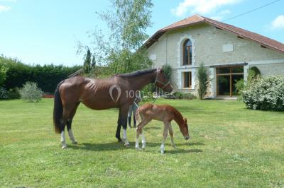 Location salle Arès (Gironde) - Domaine d'Arès #39