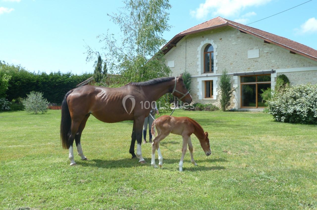 Location salle Arès (Gironde) - Domaine d'Arès #5