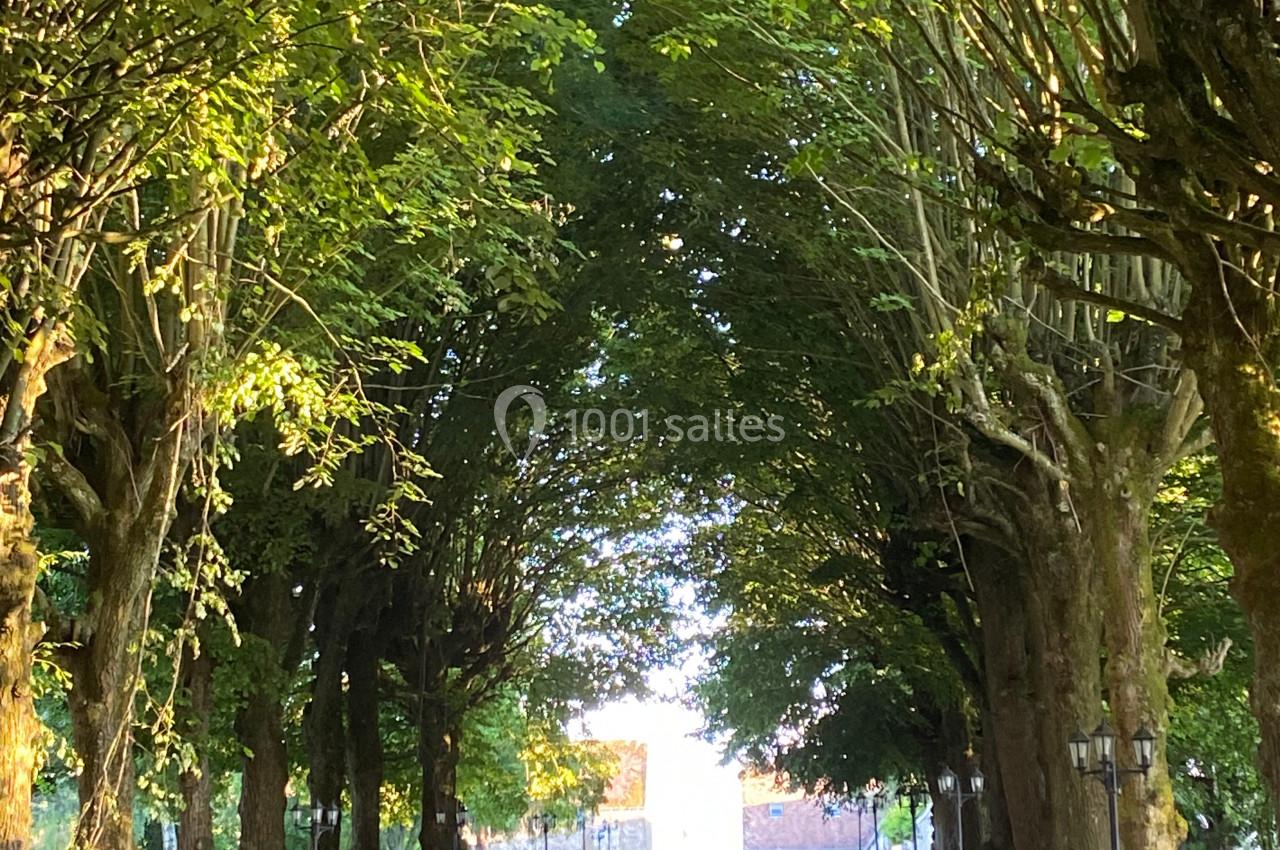 Une voiture ancienne roule sur une allée bordée d'arbres sous une lumière de fin de journée.