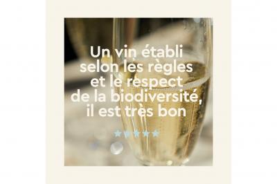 Les Vins Oé - photo 4