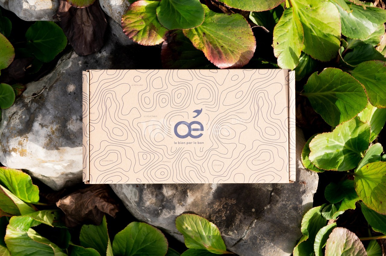Boîte en carton avec un motif géométrique, posée sur des feuilles vertes et des pierres grises.