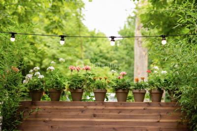 Location salle Saint-Cloud (Hauts-de-Seine) - L'Orangerie #62