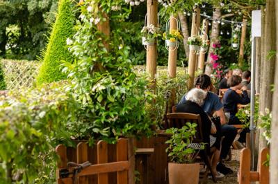 Location salle Saint-Cloud (Hauts-de-Seine) - L'Orangerie #62