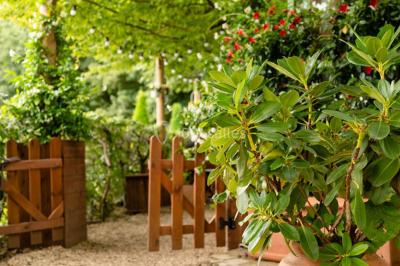 Location salle Saint-Cloud (Hauts-de-Seine) - L'Orangerie #62