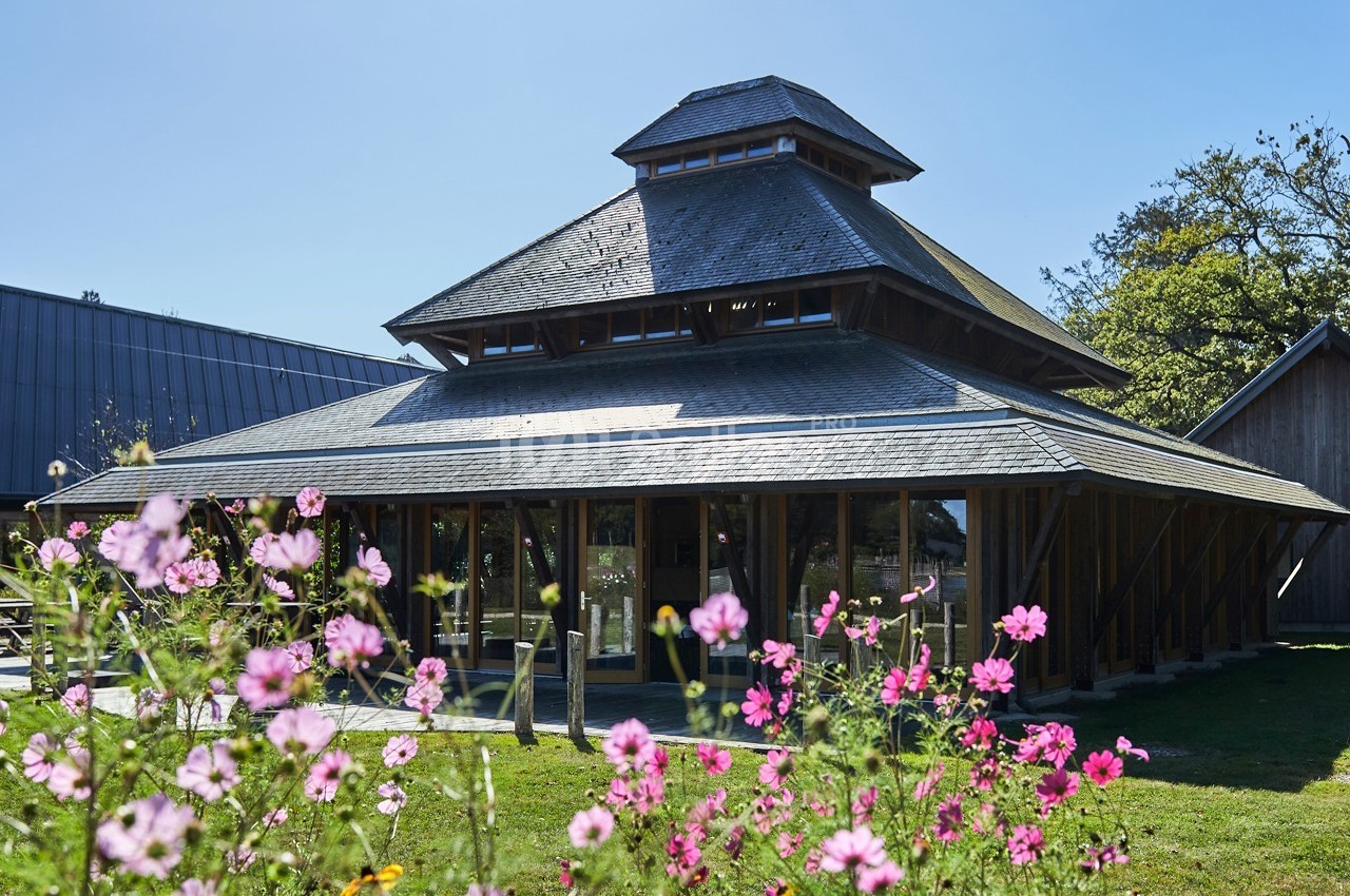 Bâtiment en bois à l'architecture moderne entouré de fleurs roses et d'un espace vert sous un ciel dégagé.