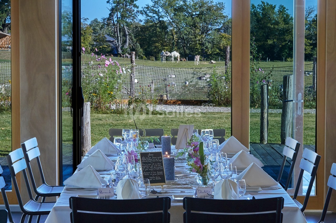 Table dressée avec élégance dans une salle lumineuse, offrant une vue sur un jardin verdoyant et des chevaux au loin.