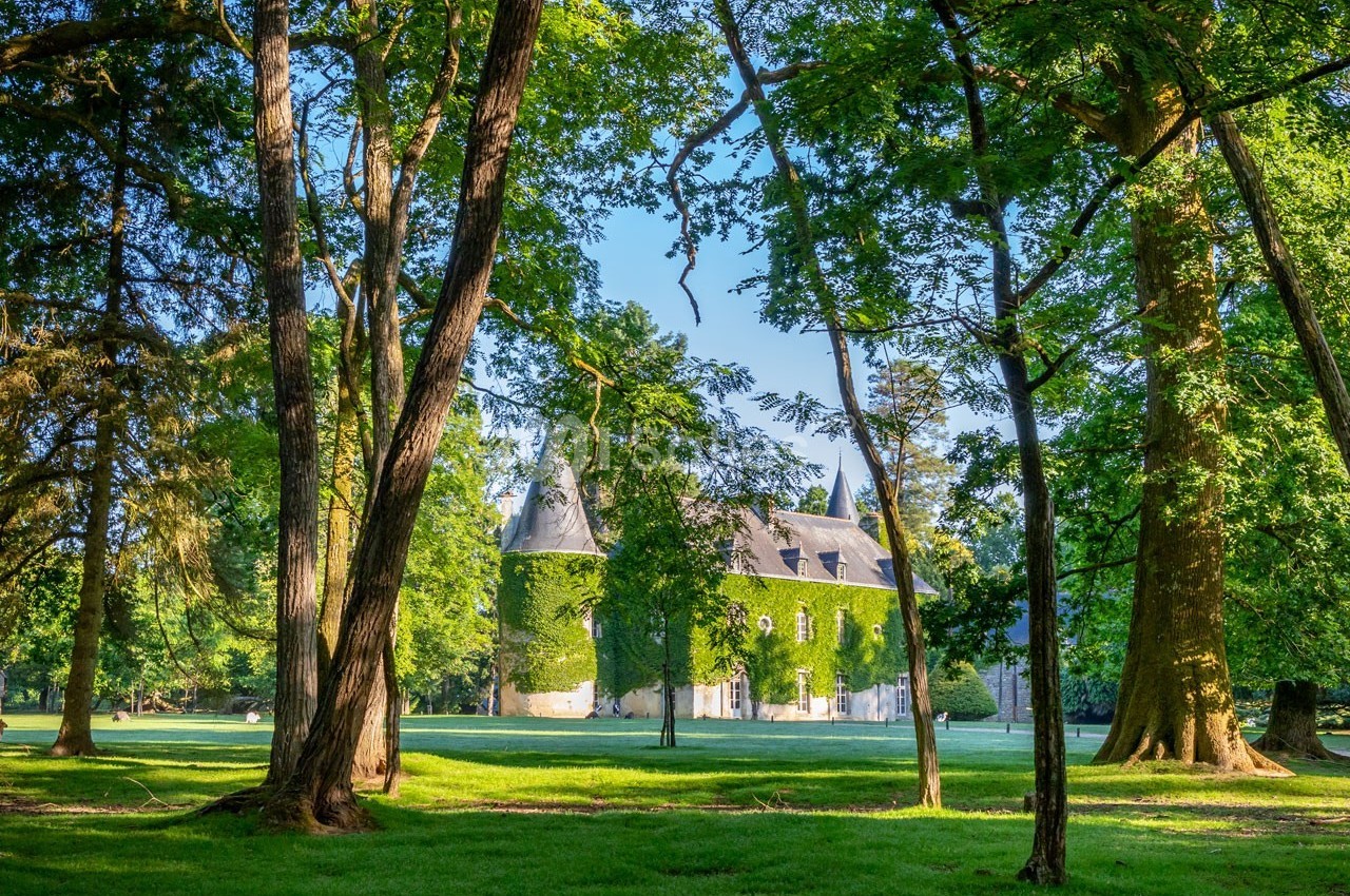 Château couvert de lierre entouré d'arbres dans un parc verdoyant sous un ciel bleu.