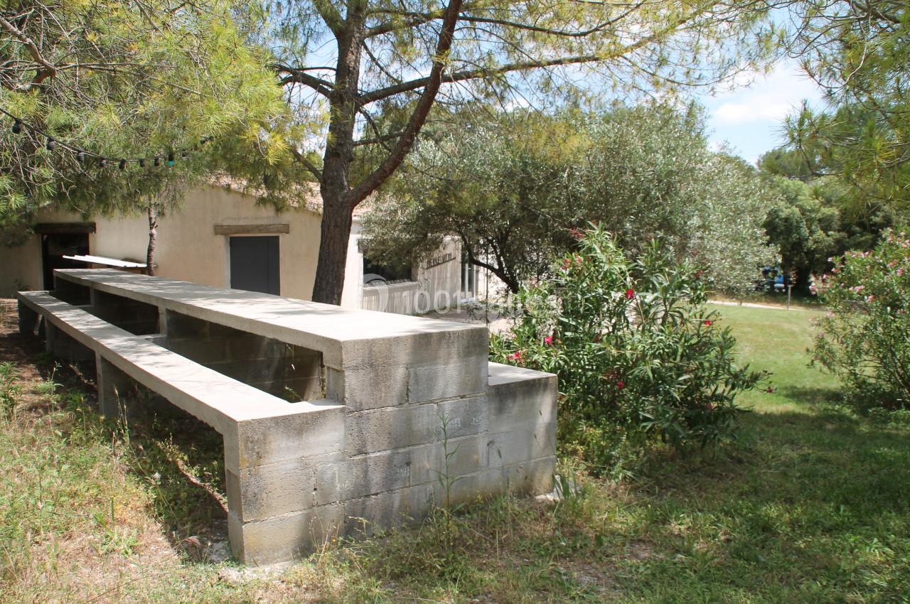 Table en béton sous des arbres, entourée de végétation, dans un espace extérieur ensoleillé.
